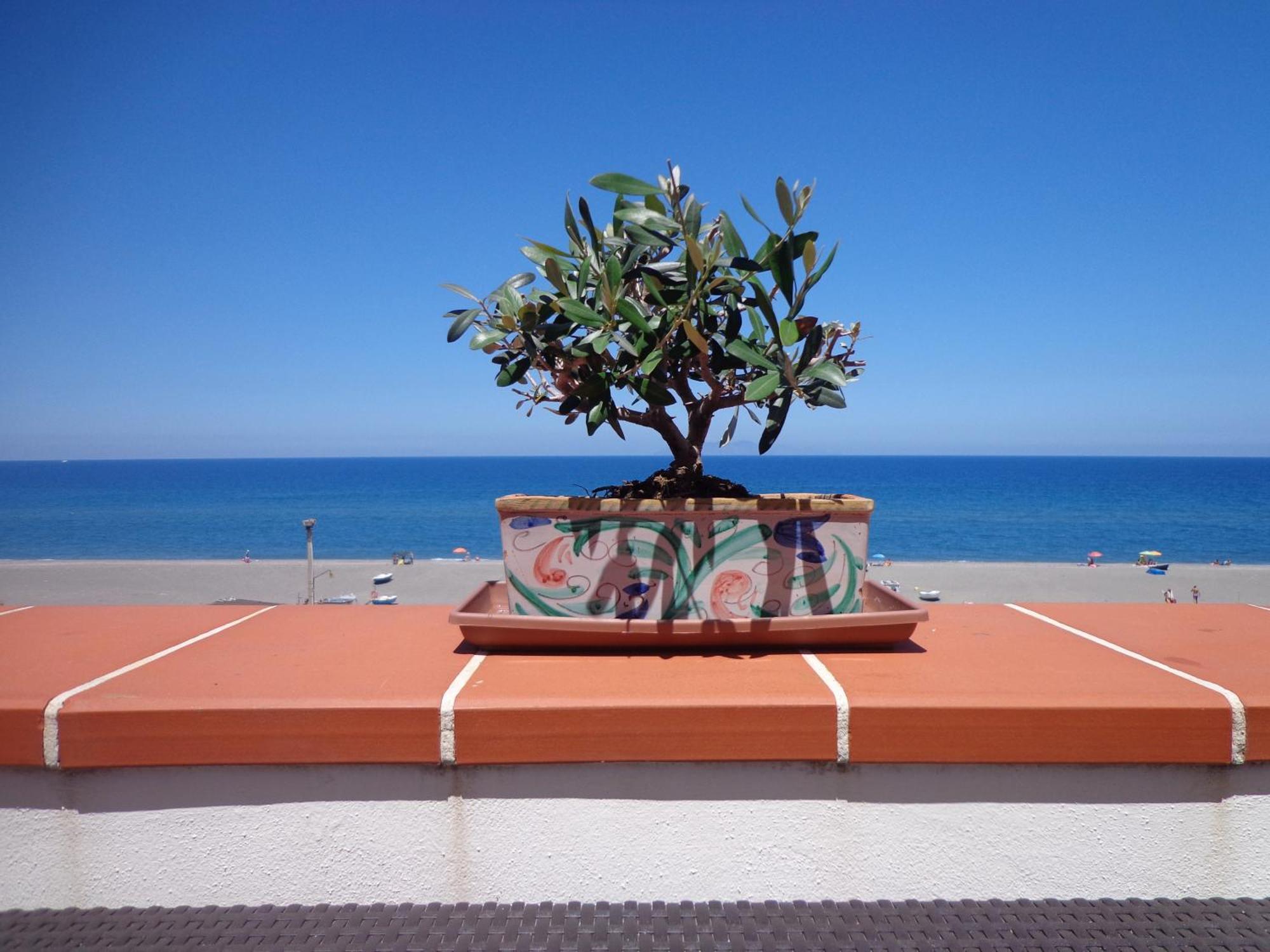 Vacanze Al Mare Patrizia'S Sweet Home Терме-Вильяторе Экстерьер фото